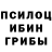 Галлюциногенные грибы GOLDEN TEACHER Said K