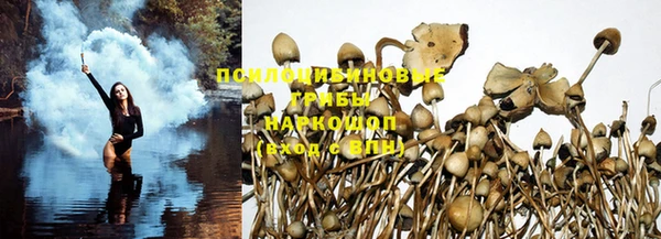 ешки Медногорск