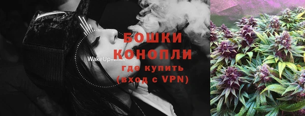 ешки Медногорск